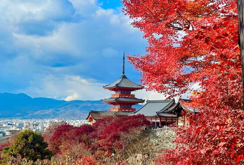 Kyoto: Fushimi Inari-taisha y Kiyomizu-dera (Spanish Guide) - Key Points to Know Before You Go