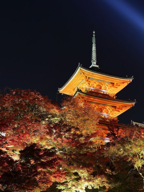 Kyoto: Fushimi Inari-taisha y Kiyomizu-dera (Spanish Guide) - Meeting JR Inari, Then Diving Into Torii Country