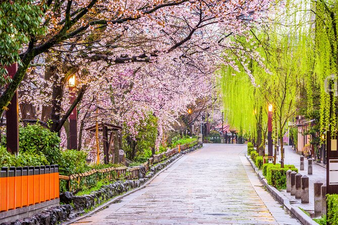 Kyoto Geisha District Walking Tour in Gion - Why this Gion walk feels easier than DIY