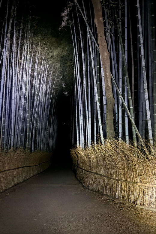 Kyoto: Ghost Tour - Legends, Dark Tales, Bamboo Forest Night - What Happens Before the Forest: meeting, pacing, and mood