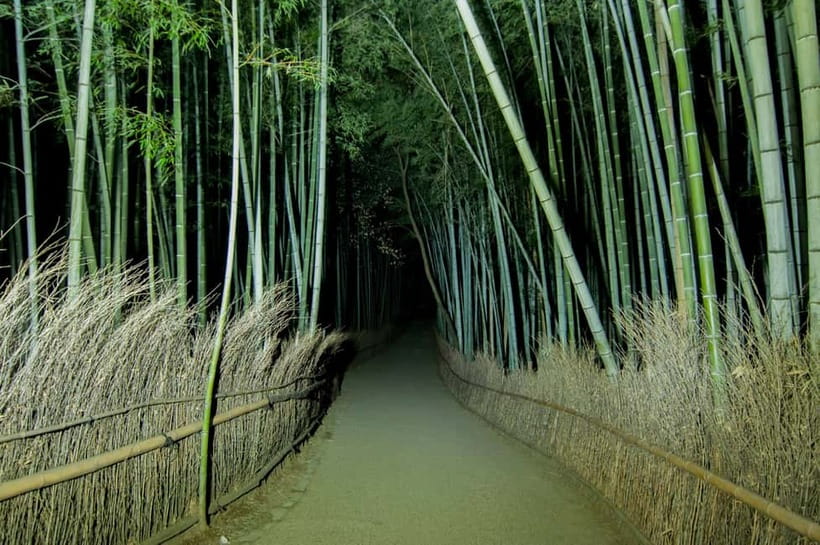 Kyoto: Ghost Tour - Legends, Dark Tales, Bamboo Forest Night - Nonomiya Shrine stop: the spiritual anchor