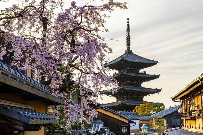 Kyoto Gion Early Morning Walking Tour - Gion Shirakawa and Hanamikoji Street, Before the Noise