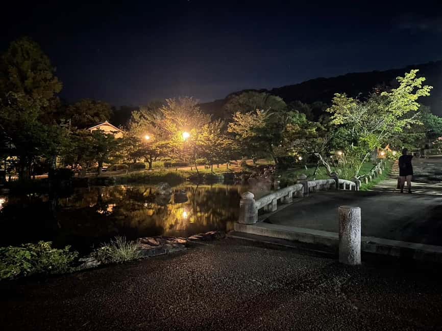 Kyoto: Gion & Geisha District Night Time Walking Tour - Geiko and Maiko Chances, Plus Photo Tips