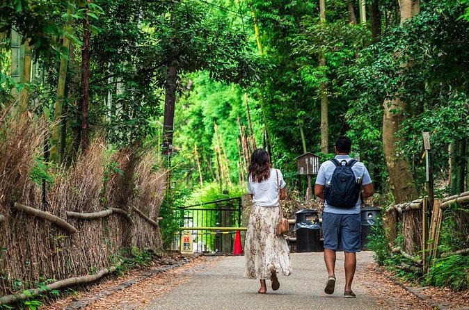 Kyoto Guided Tour of Bamboo Forest, Temple and more - Togetsukyo Bridge: A Short Stop With Big Screen Energy
