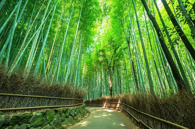 Kyoto Guided Tour of Bamboo Forest, Temple and more - Monkey Park Iwatayama: Fun Nature Time in a Packed Neighborhood