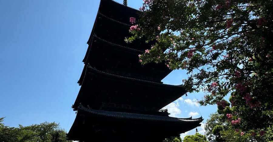 Kyoto: Guided Tour of Toji Temple with 5-Story Pagoda - Kodo Hall: esoteric Buddhist art and the Cosmic Buddha’s mandala