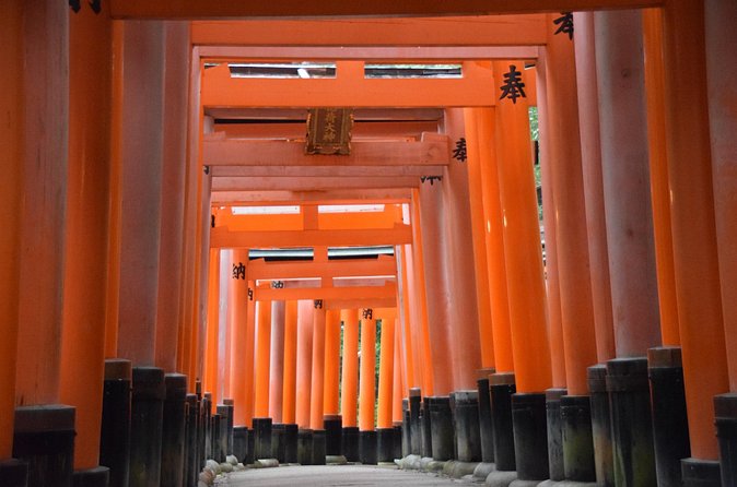 Kyoto Guided Walking Tour Highlight of Kiyomizu & Fushimi Inari - Shichijō Station and the paid train hop you must plan for