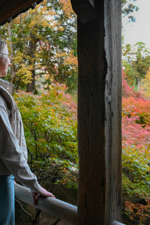 Kyoto: Half-day Guided Bike Tour with Fushimi Inari - Bikes, safety, and who should request an e-bike