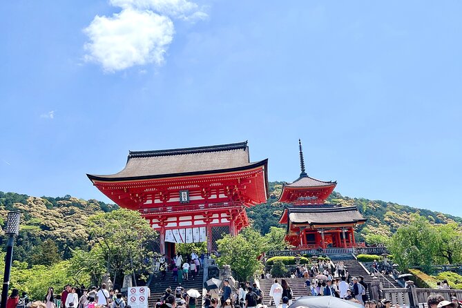 Kyoto Half Day Highlights Tour - Fushimi Inari Torii Tunnels: Where the Tour Earns Its Reputation