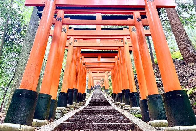 Kyoto Half Day Highlights Tour - Walking Comfort, Timing, and Weather Reality in Kyoto
