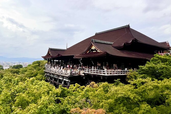 Kyoto Half Day Highlights Tour - Price and Value: What You Get for About $50