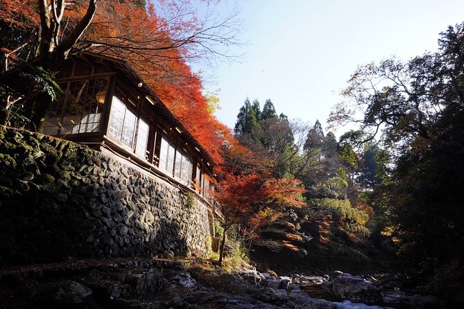 Kyoto Hidden Riverside Zen Mediation and Uji Matcha Experience - The tea time finish: Uji matcha and seasonal wagashi