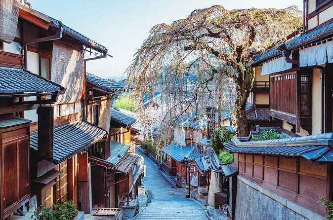 Kyoto Higashiyama Walking Private Tour - What an English local guide changes (Akari effect)