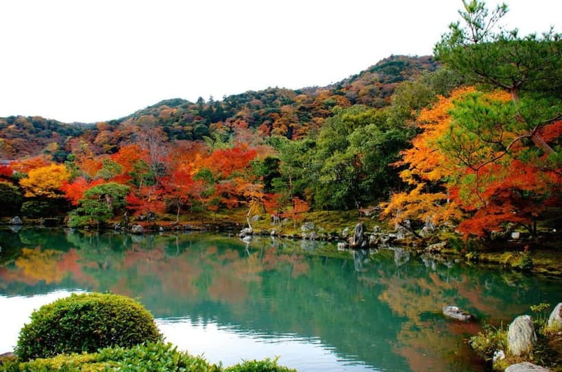 Kyoto: Highlights Guided Walking Tour - Nishiki-Tenmangu Shrine and Nishiki Market: Kyoto’s kitchen and its worship spaces