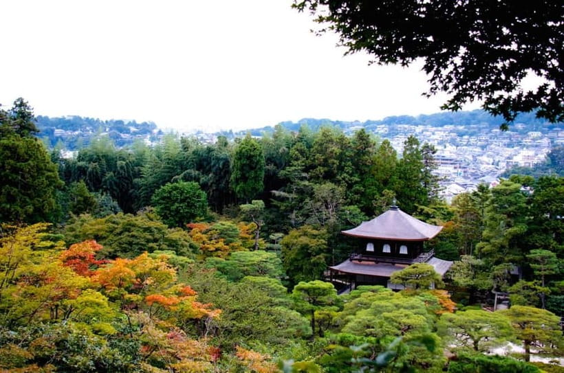 Kyoto: Highlights Guided Walking Tour - Where you meet, and how you’ll know you’re in the right place