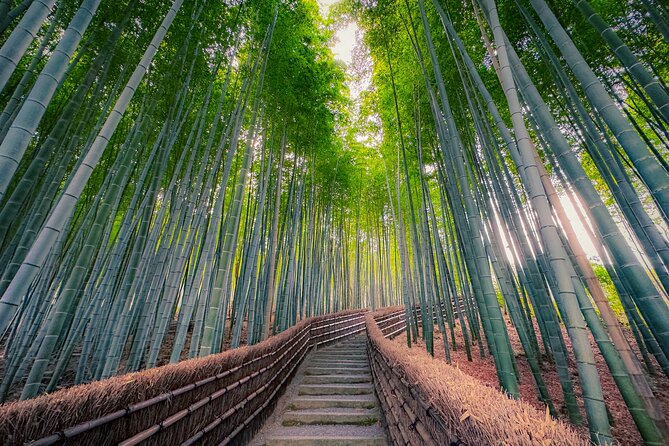 Kyoto Highlights & Hidden Gems in Nature (Private Van Eng-Guide) - Arashiyama-Takao Parkway: seasonal cherry and maple scenery from the road