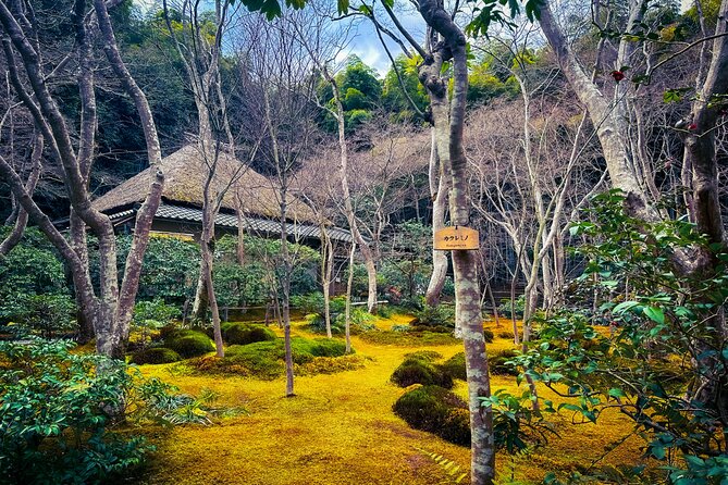Kyoto Highlights & Hidden Gems in Nature (Private Van Eng-Guide) - A Geisha street sighting by car, then Heian Jingu’s giant torii