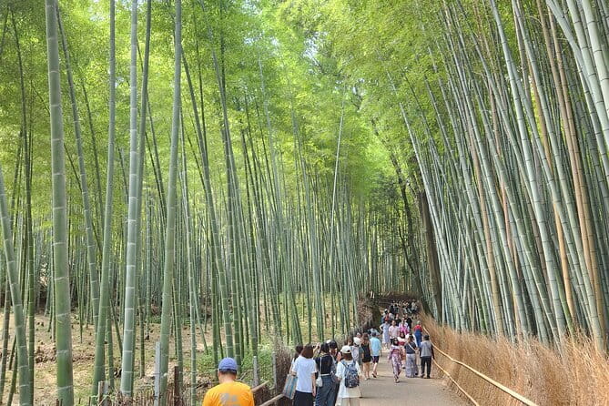 Kyoto Highlights of 6 Hour Private Car Tour - The guide matters, and that is where this tour wins