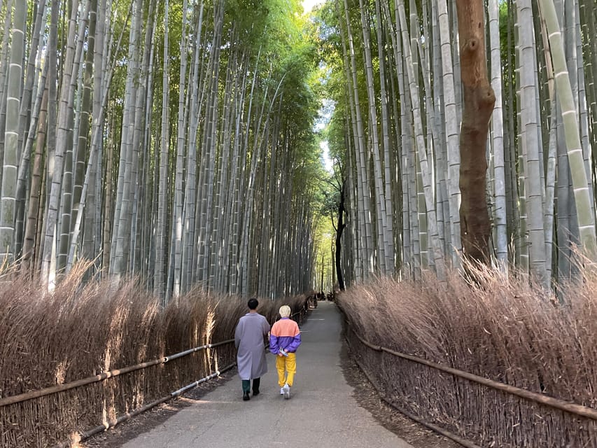 Kyoto: Highlights of Arashiyama in 2 hours - Guided tour - Who This Tour Fits Best