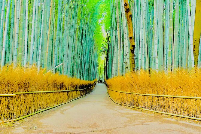 Kyoto Highlights Private Car Day Tour with English Speaking Guide - How the itinerary flows: less stress, better timing