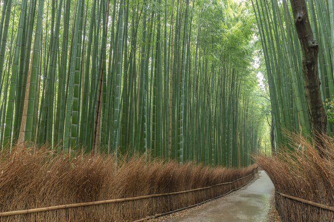Kyoto Highlights Private Walking Tour - Kiyomizu-dera Views, Ninen-zaka Steps, and the Yasaka Pagoda
