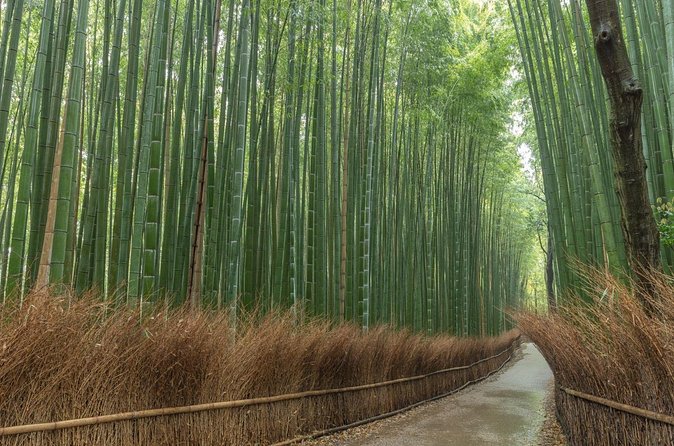 Kyoto Highlights Private Walking Tour - Kinkaku-ji and the Golden Pavilion Moment