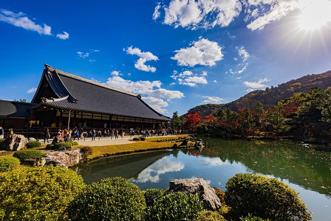 Kyoto Highlights Private Walking Tour - Arashiyama Bamboo Forest: The Dreamlike Walk
