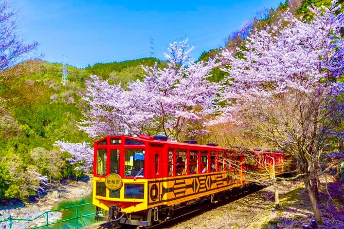 Kyoto Highlights Tour: Arashiyama, Nara Park and Fushimi Inari - Key Things You Will Love