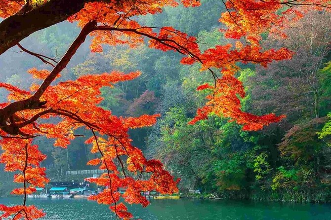 Kyoto Highlights Tour: Arashiyama, Nara Park and Fushimi Inari - Fushimi Inari Taisha Main Shrine: Inari, Prosperity, and the Mountain Feeling