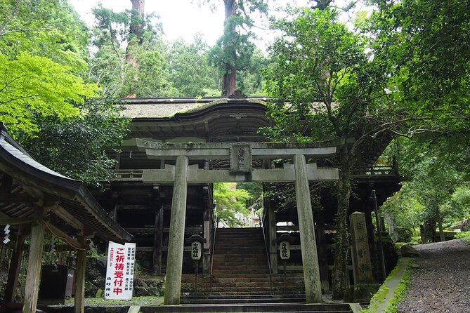 Kyoto Hiking Tour: The Nature and Legends of Kurama and Kibune - Mount Kurama and Reiki: The 21-Day Meditation Stop