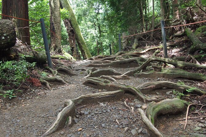 Kyoto Hiking Tour: The Nature and Legends of Kurama and Kibune - Fitness and Weather Reality Check for This Mountain Route