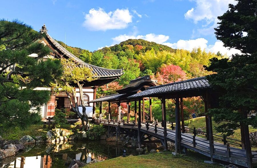 Kyoto: Historic Higashiyama Walking Tour - Meeting at JR Inari Station, Where Your Tour Really Starts
