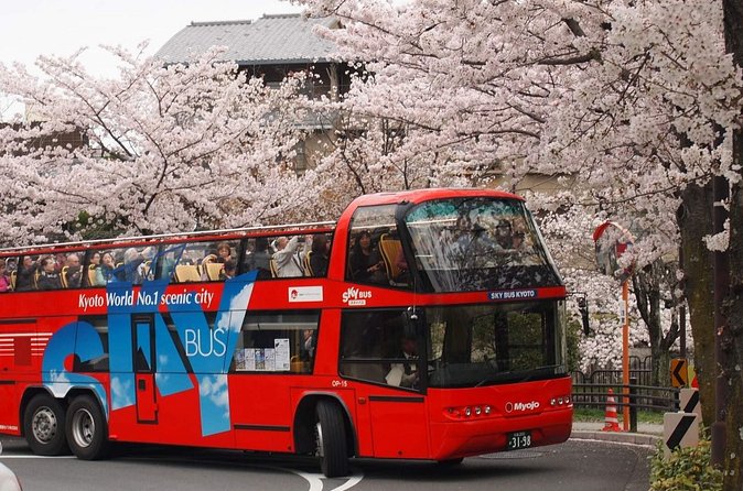 Kyoto Hop-On, Hop-Off Sightseeing Bus Tour - Comfort, Weather Gear, and the Reality of Seats