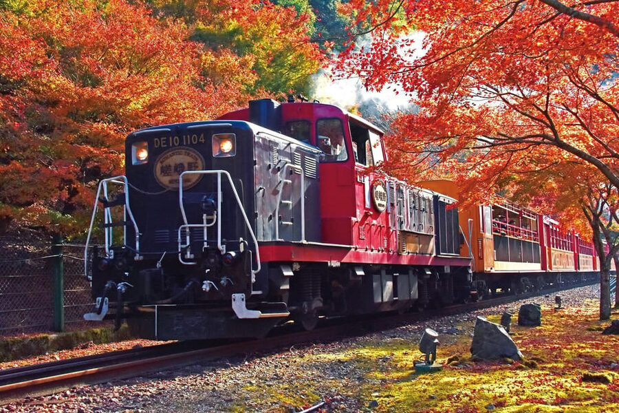 Kyoto Hozugawa River Boat Sagano Romantic Train Tour - Sagano Romantic Train: 25 Minutes of Sagano Views, Up Close