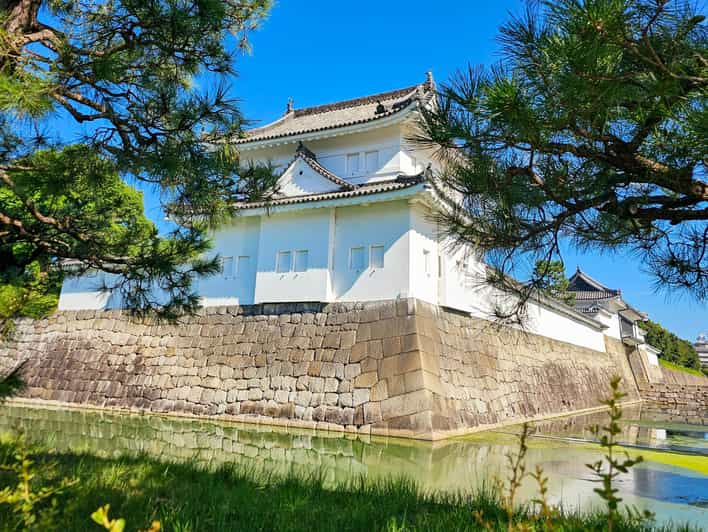 Kyoto: Imperial Palace & Nijo Castle Guided Walking Tour - Key points worth waking up for