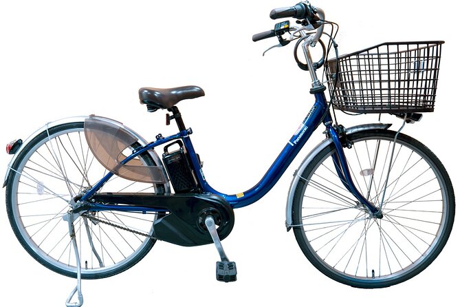 Kyoto in a Day by eBike: The Best Bits Tour (East Course) - Nijo Castle: Guided Time Inside a Kyoto Landmark