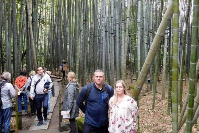 Kyoto Japanese Garden Lover's Private Tour with Government-Licensed Guide - Government-licensed guide plus your garden wishlist