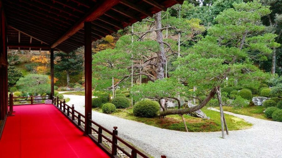 Kyoto: Japanese Gardens Private Customizable Tour - Key Highlights You’ll Care About