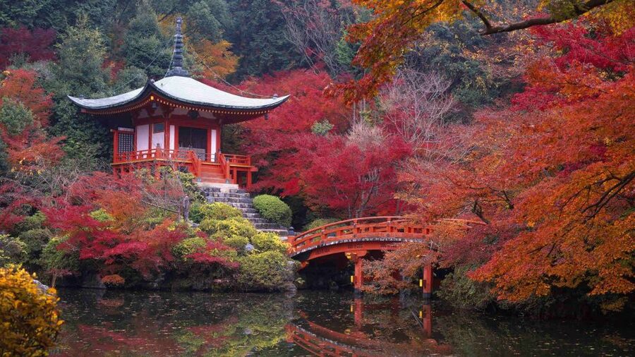 Kyoto: Japanese Gardens Private Customizable Tour - Kokedera Suzumusidera, Botanical Add-Ons, and How Your Guide Chooses