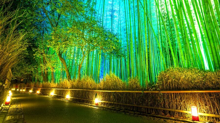 Kyoto: Japanese Gardens Private Customizable Tour - Why Kyoto Zen Gardens Work So Well in One Private Half-Day