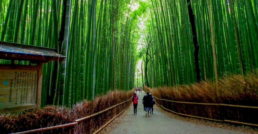 Kyoto: Japanese Gardens Private Customizable Tour - Arashiyama Bamboo Forest, Then Into the Temple Rhythm