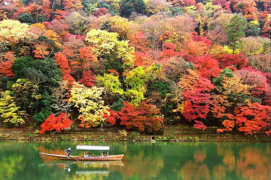 Kyoto: Japanese Gardens Private Customizable Tour - Ryoanji Rock Garden, Where the Pause Is the Point