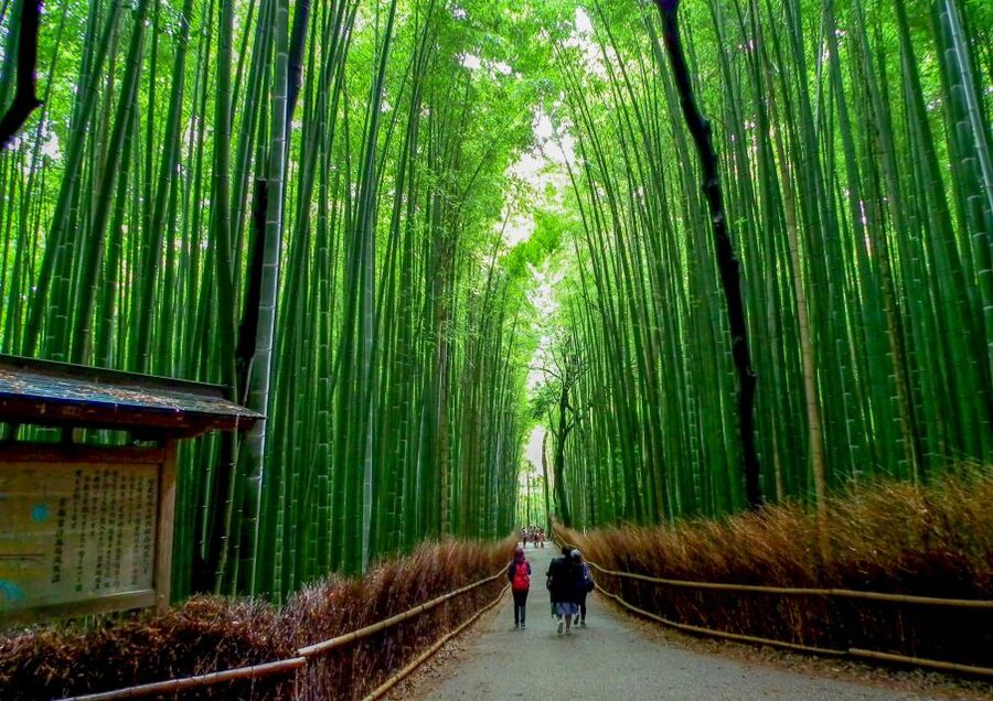 Kyoto: Japanese Gardens Private Customizable Tour - How the 6 Hours Usually Feel, and How Customization Changes Everything