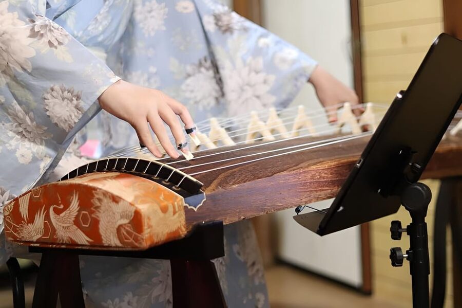 Kyoto: Japanese Koto & Shamisen Concert and Koto Class - Who this Kyoto koto and shamisen experience suits best