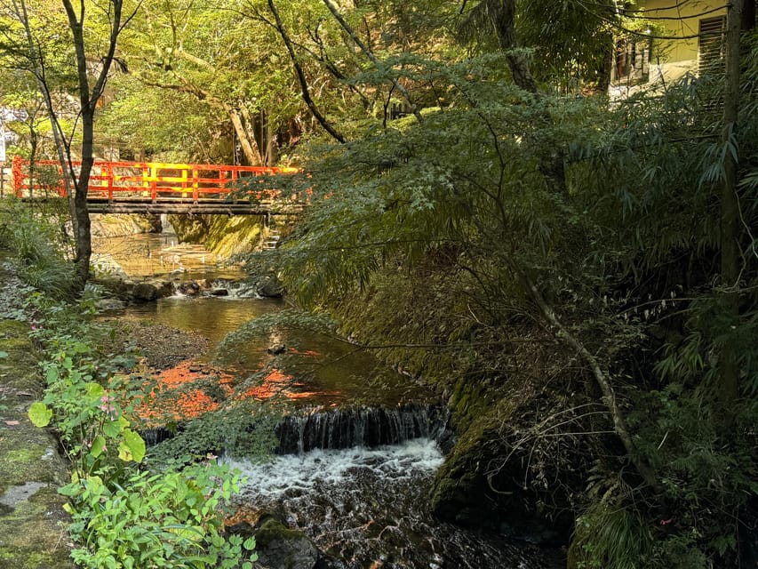 Kyoto: Kifune Shrine and the Sacred Kifune Valley Day Trip - Why Kifune Valley feels like a reset from Kyoto