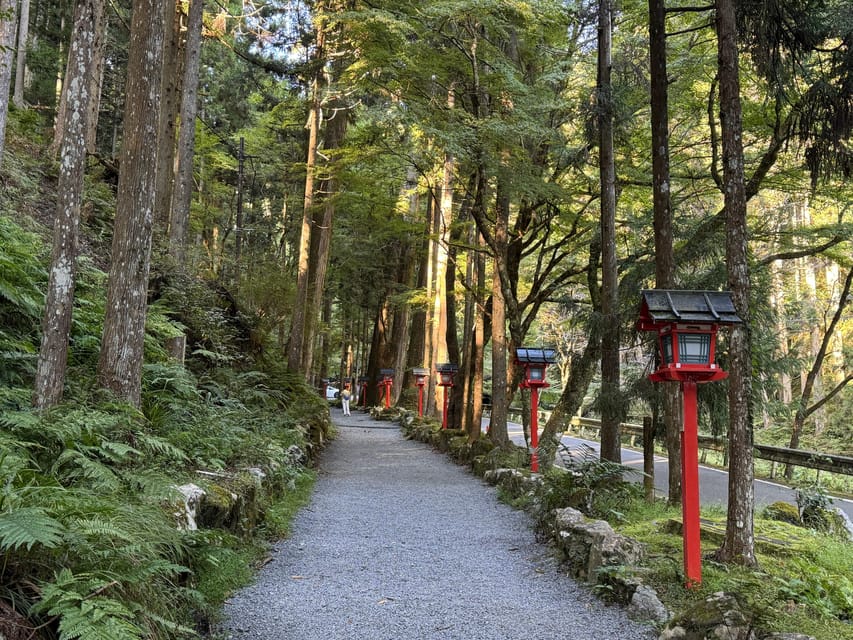 Kyoto: Kifune Shrine and the Sacred Kifune Valley Day Trip - Price and value: what $81 per person buys you