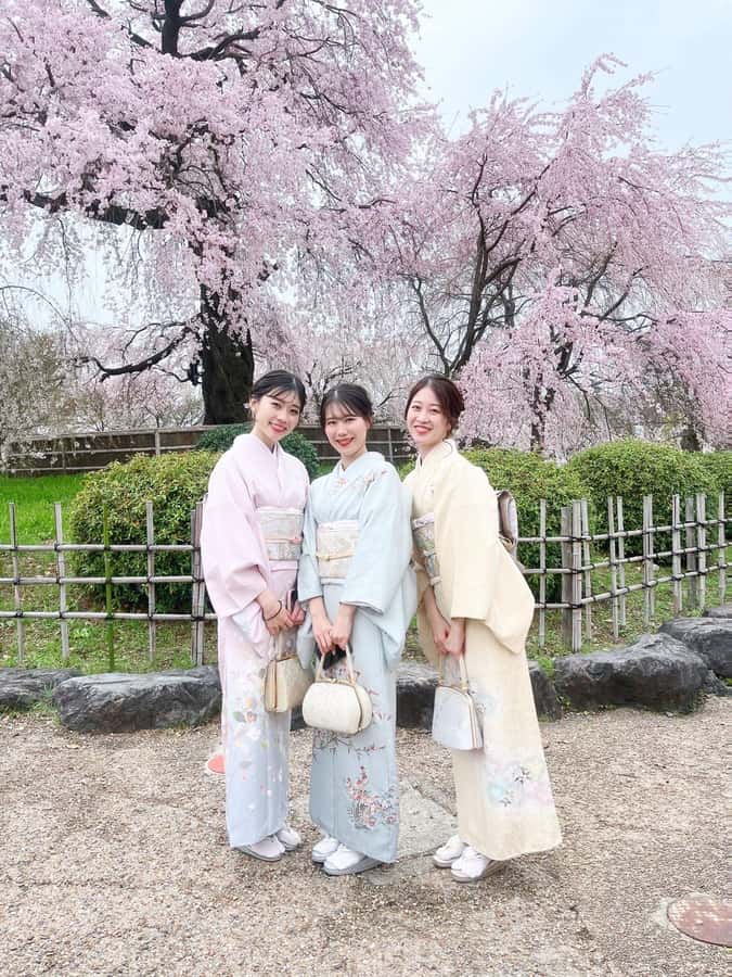 Kyoto: Kimono Rental Traditional Experience at Wargo in Gion - Standard vs Premium Plans, and What Changes in Your Day