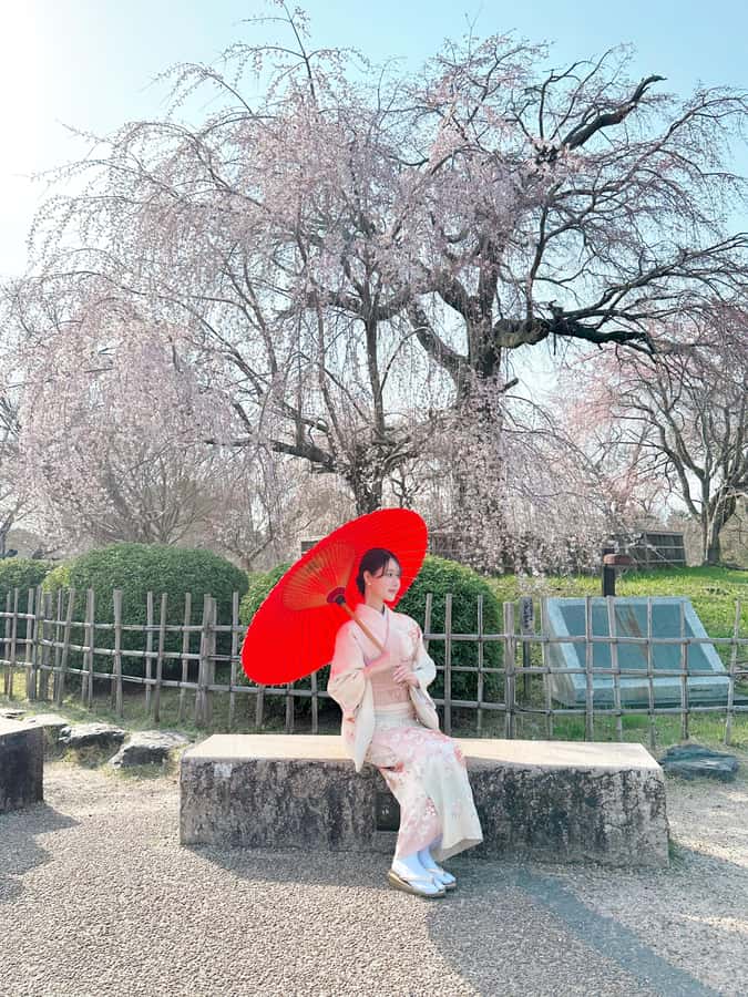 Kyoto: Kimono Rental Traditional Experience at Wargo in Gion - Comfort, Fit, and Who Should Book This