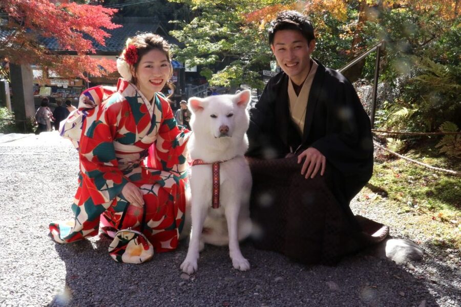 Kyoto: Kimono Rental Traditional Experience at Wargo in Gion - Premium Hairstyling: When It’s Worth the Upgrade