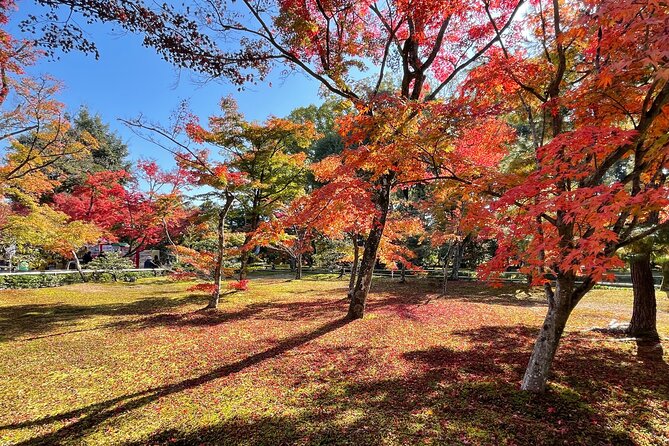 Kyoto: Kinkaku-ji Temple & Serene Garden Guided Tour with Tickets - Price and value: what $48.86 really buys you
